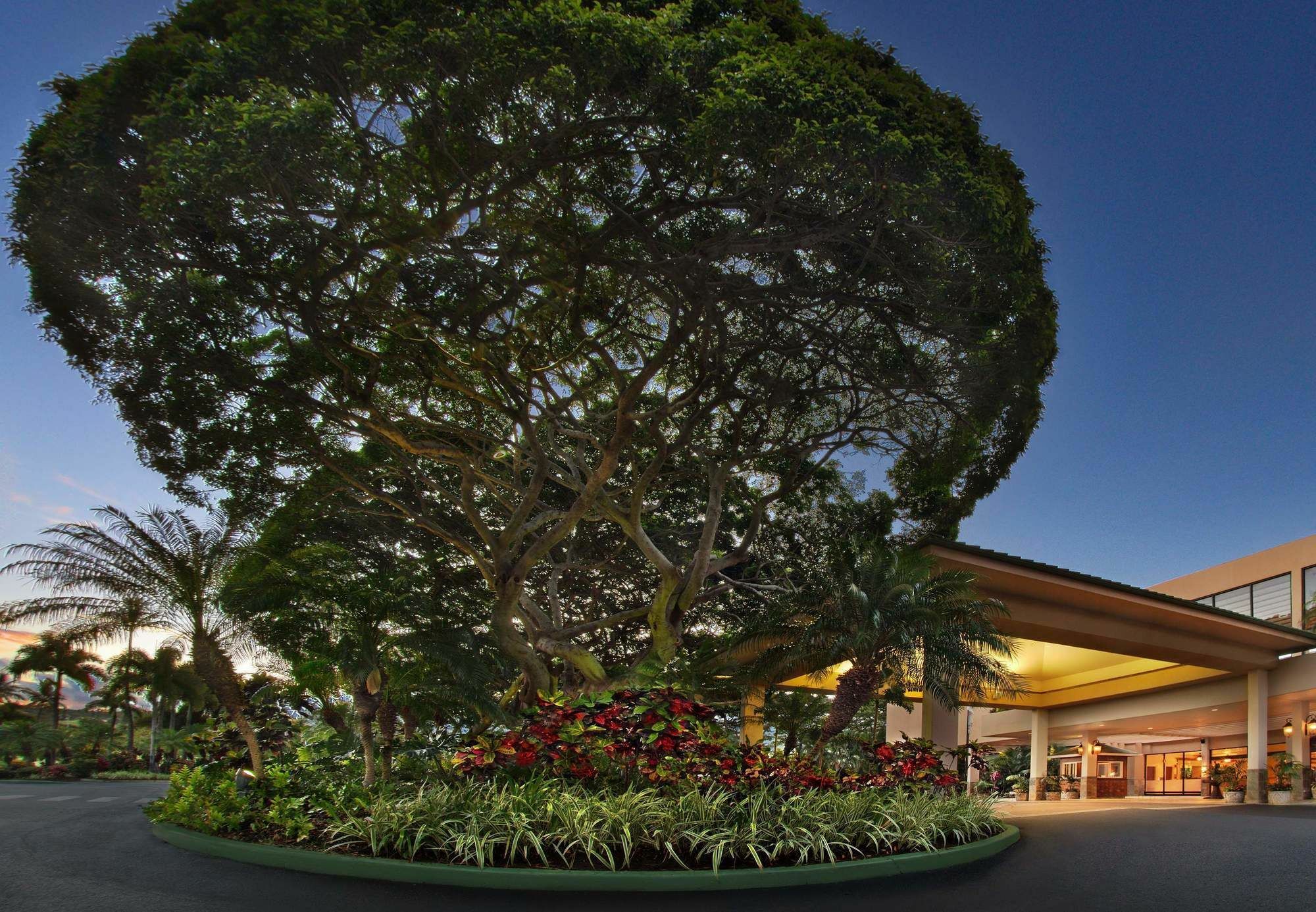 Hotel Marriott'S Maui Ocean Club - Molokai, Maui & Lanai Towers Lahaina Exteriér fotografie